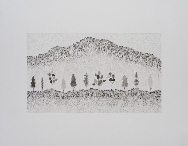baŞak doĞan kademoĞlu landscape series (kopya)