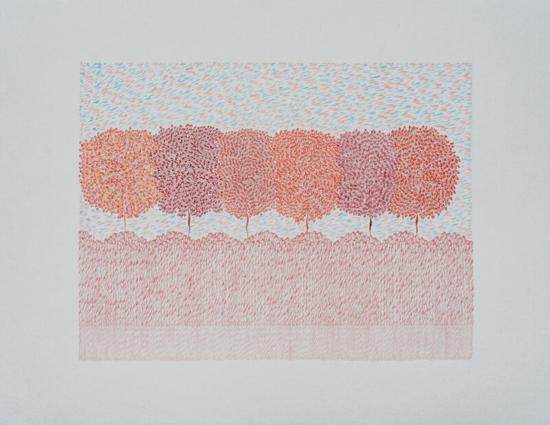 baŞak doĞan kademoĞlu landscape series (kopya)